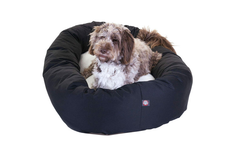 Do Dogs Need Heated Beds